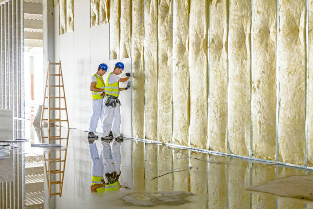 Best Geographic-Specific Insulation Services in Black Canyon City, AZ